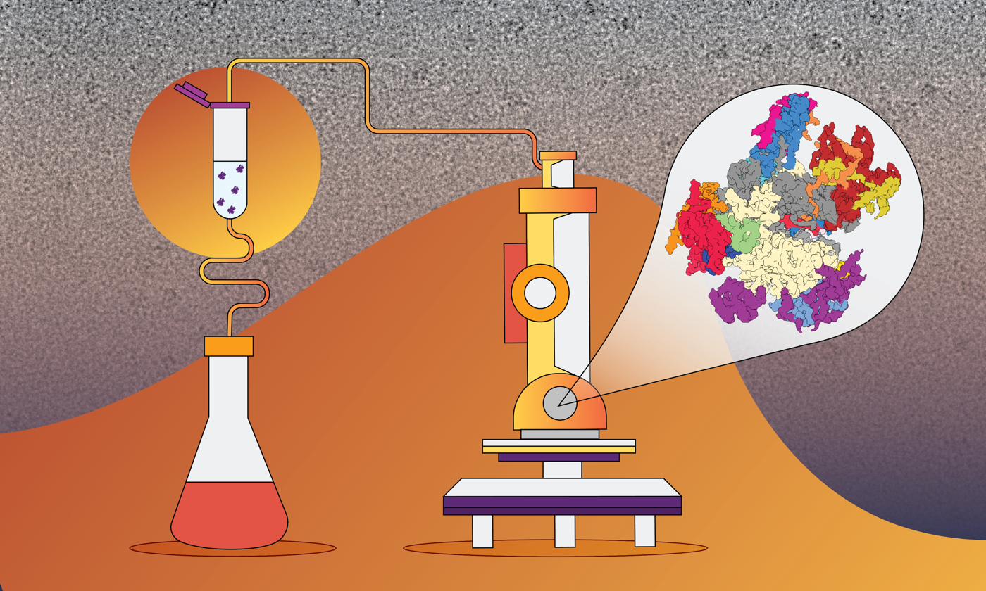 Editorial illustration of cryo-EM laboratory equipment — flask, microscope and RNA polymerase structure